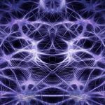 Neurons