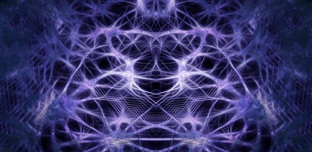 Neurons