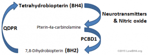 BH4-Chart3